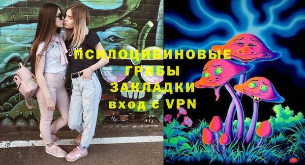 гидропоника Алексеевка