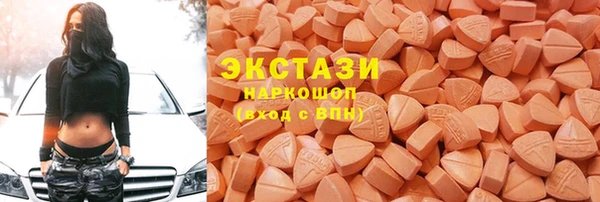 гашик Алексин