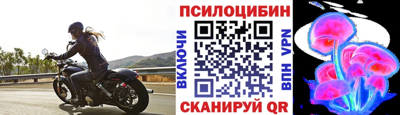 blacksprut зеркало  Питкяранта  Псилоцибиновые грибы Psilocybine cubensis 
